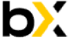 Bincryptex logo