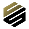 Деловые Стандарты logotype