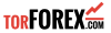 Torforex logo