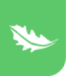Saleads logo