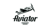 Winmoneyaviator logotype